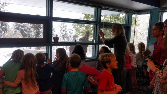 nederland-elem-moose-2.jpg 