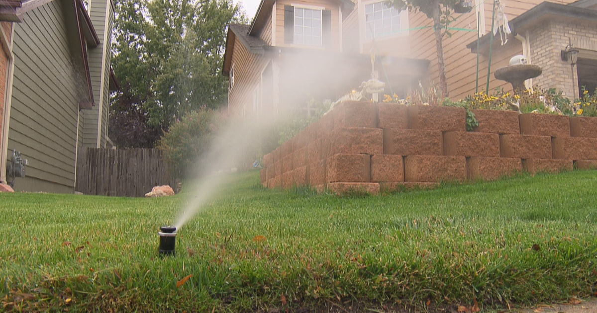 Sprinkler System Companies Flooded With Calls As Temperatures Drop