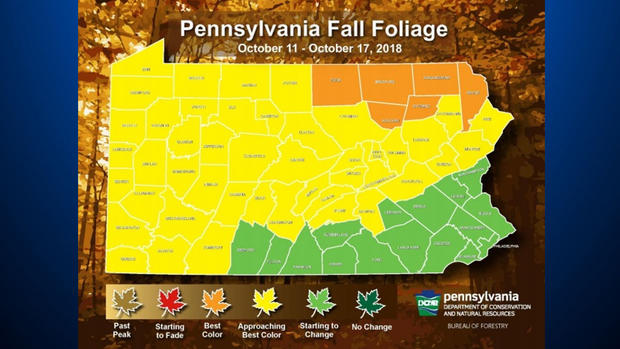 fall foliage forecast 