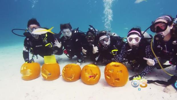 underwater pumpkin contest2 