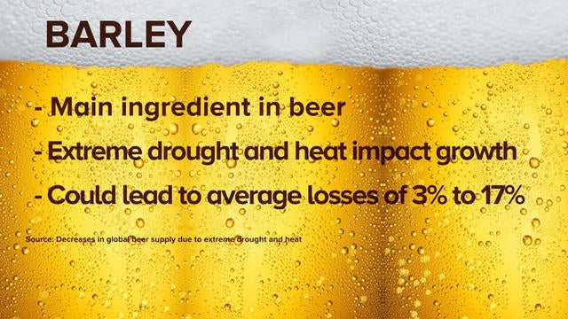 1016-cbsn7am-climatechangebeershortage-1685819-640x360.jpg 
