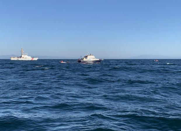 Coast Guard Whale Rescue Santa Cruz 