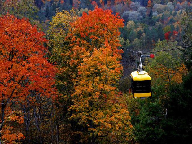 A cable car is seen next to the colored trees in Sigulda 