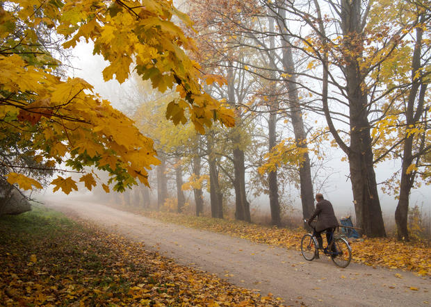 Autumn colours are seen on foliage in the village of Danilovichi 