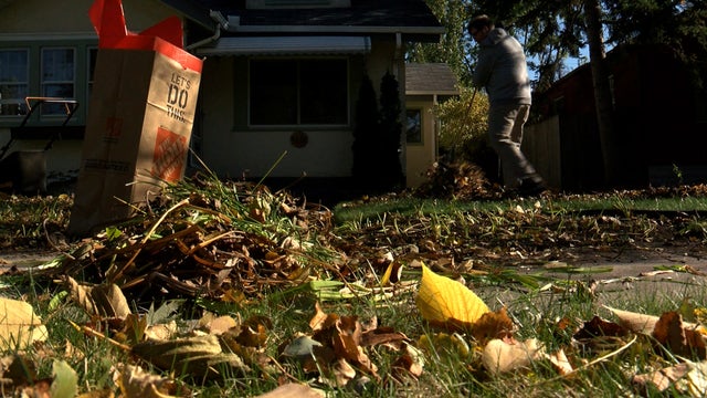 leaf-raking.jpg 