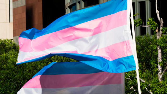 transgender_pride_flag_662116864.jpg 