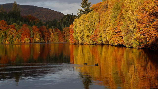 FRANCE-AUTUMN-FALL-FEATURE 