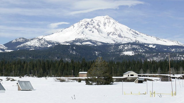shasta.jpg 