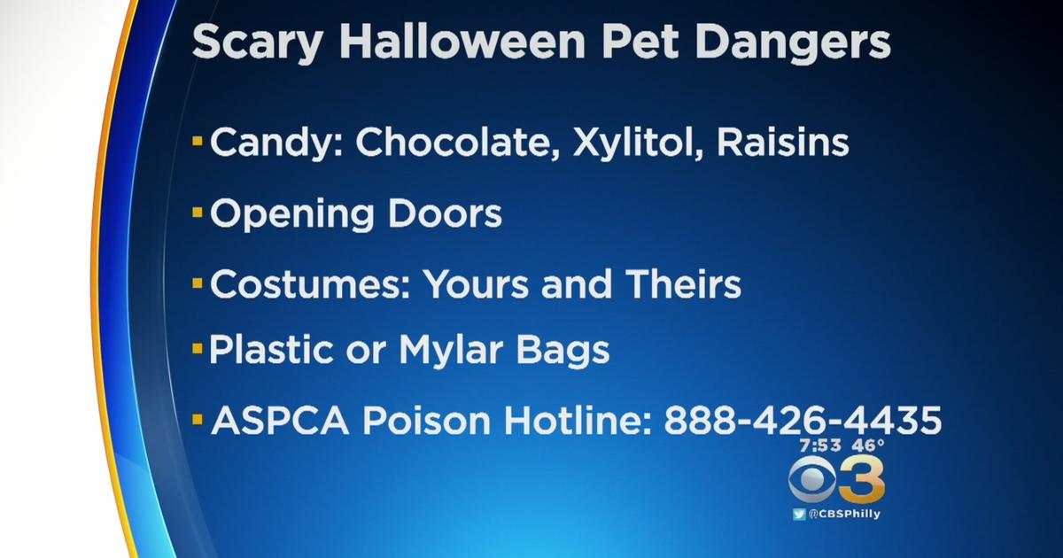 cbs3-pet-project-potential-dangers-for-pets-during-halloween-cbs