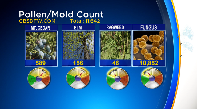 pollen count 