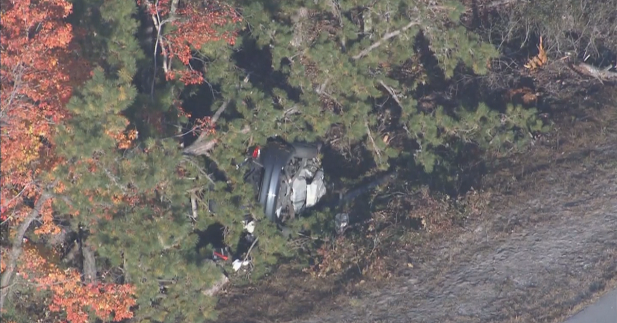 Car Crashes On Route 55 In Maurice River Township, Closing Portion Of