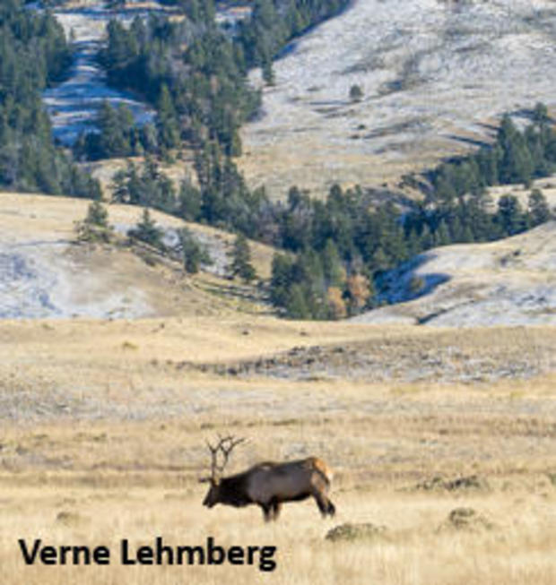 ns-slope-and-elk-verne-lehmberg-244.jpg 