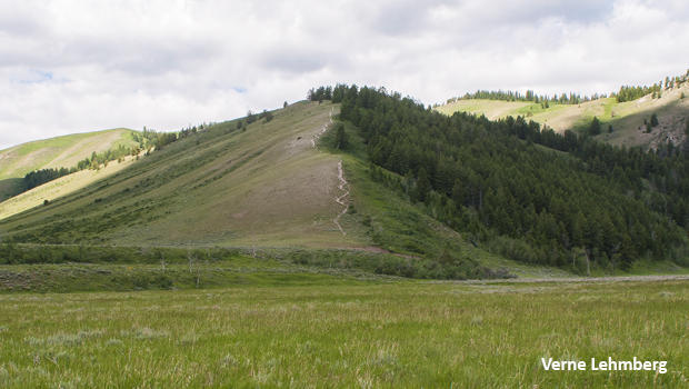 blacktail-butte-grand-teton-national-park-north-south-slope-effect-verne-lehmberg-620.jpg 