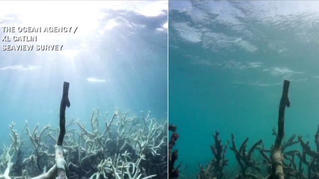 cbsn-fusion-oceans-warming-faster-climate-change-study-thumbnail-1701192-640x360.jpg 