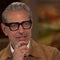 Actor and jazz musician Jeff Goldblum in full bloom