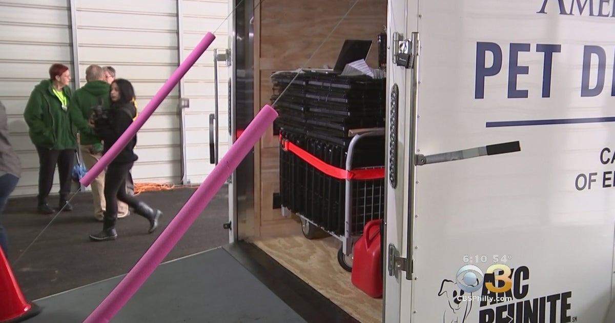 Camden County Officials Unveil Pet Disaster Relief Trailer CBS