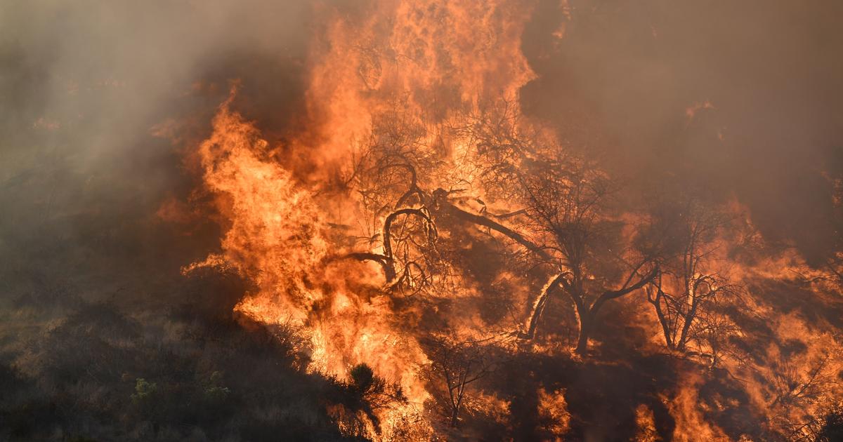 LA Zoo Evacuates Animals As Brush Fire Burns In Griffith Park - CBS Los ...