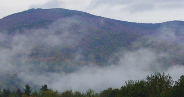 Tree falls on Groton woman during hike in New Hampshire 