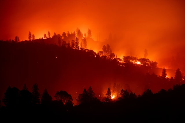 California Wildfires 