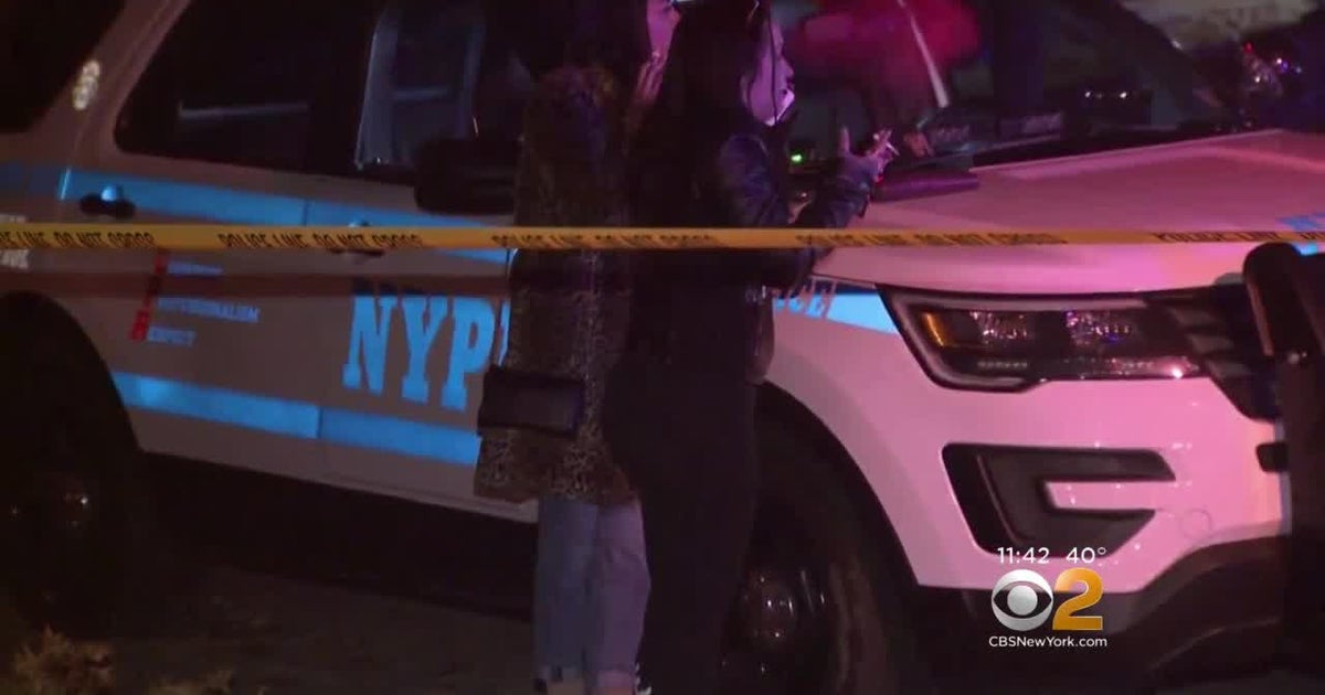 Violent HitAndRun Leaves Man Dead, Witnesses Angry CBS New York