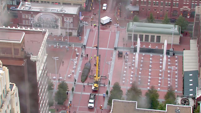 sundance-square-tree-arrives.jpg 