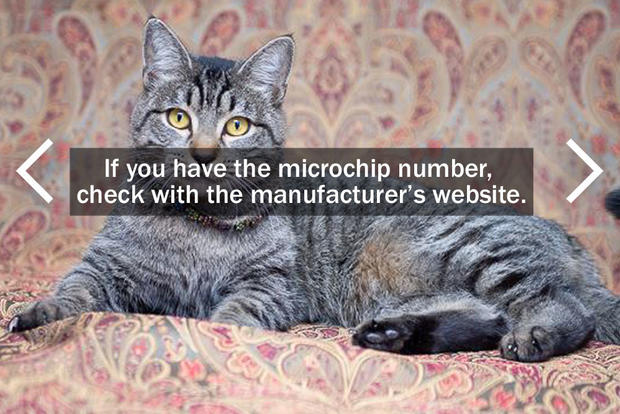 If you have the microchip number, check with the manufacturer's website. 