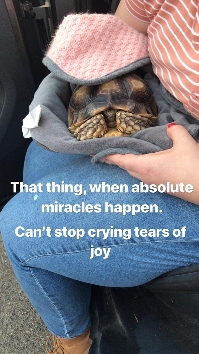 1911337187174210339_3947381286