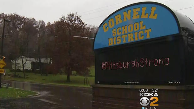 cornell school district 