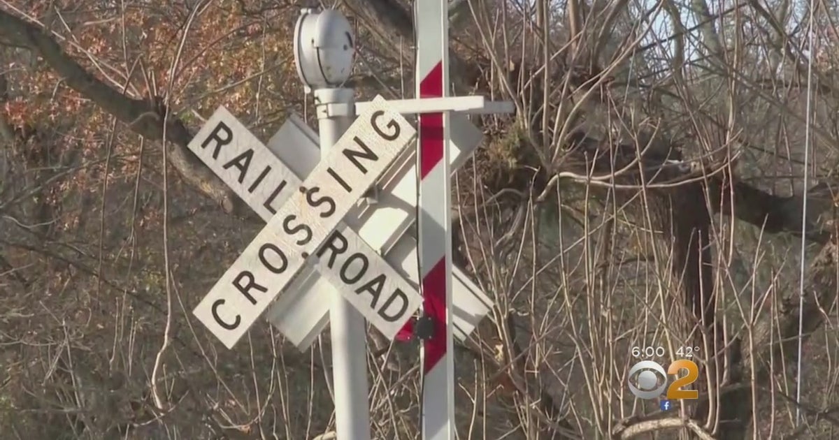 New Jersey Women Killed In NJ TRANSIT Accident Likely Caused By ...