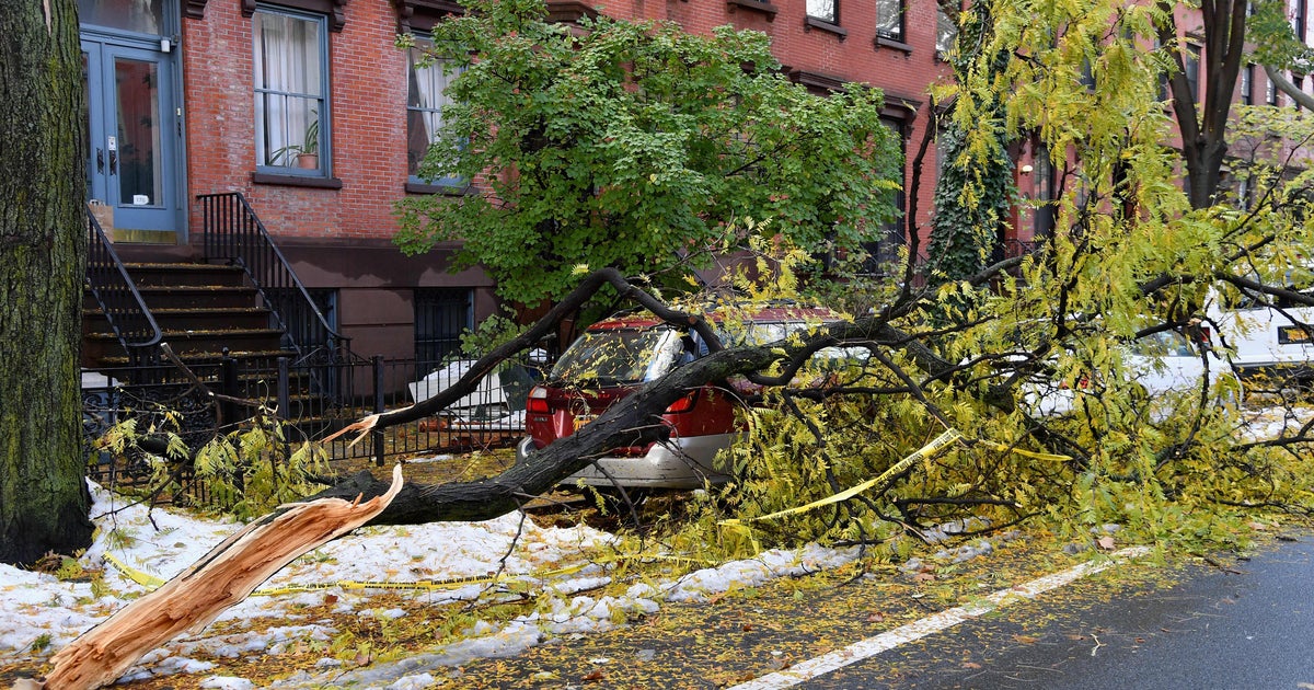 Storm Forces Closure Of NYC Parks Due To Concern Over Trees - CBS New York