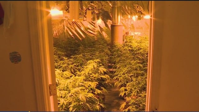 grow-house-solutions.jpg 