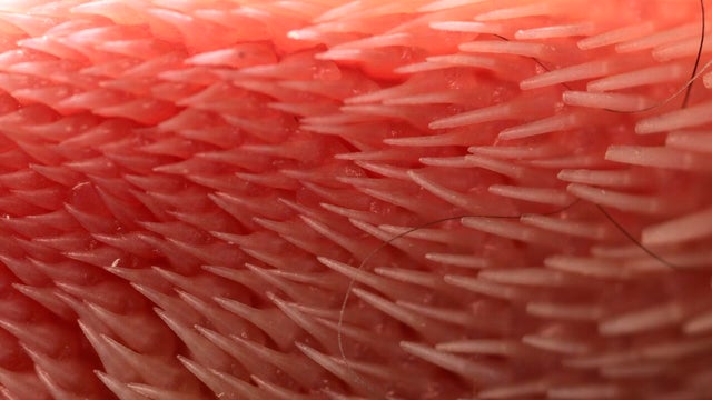 ap_18321729343558.jpg 