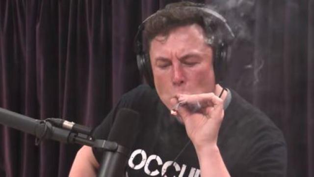 elon-musk-rogan-pot.jpg 