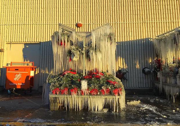 Frozen Sprinklers In Broomall Leave Stunning Photo 