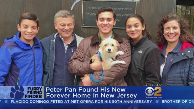 Peter Pan Finds His Forever Home 