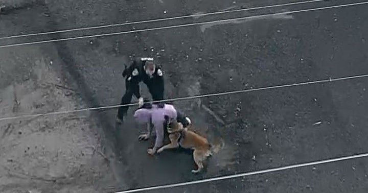 VIDEO: Dramatic Arrest Of Vallejo Armed Robbery Suspect - CBS San Francisco