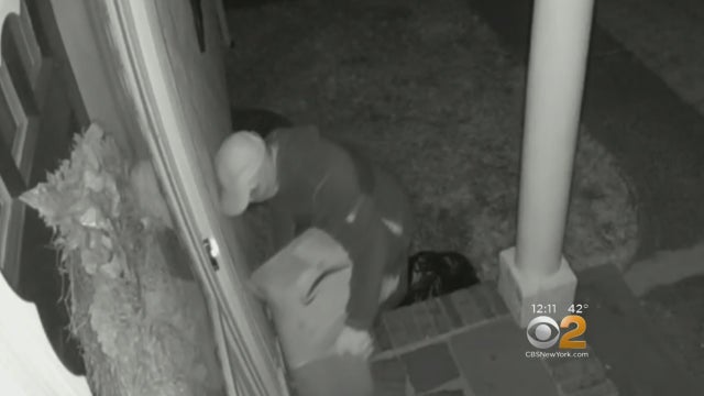 plainfield-picky-package-thief.jpg 
