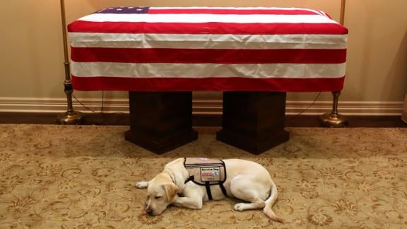 181202214919-george-hw-bush-labrador-sully-live-video.jpg 