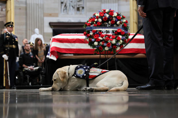 Former U.S. President Bush's service dog Sully pays his respects as Bush's body lies in state in the Rotunda at the U.S. Capitol in Washington 