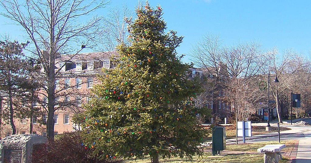 Durham Holiday Tree Tradition In Jeopardy After Town Denies Menorah Request CBS Boston