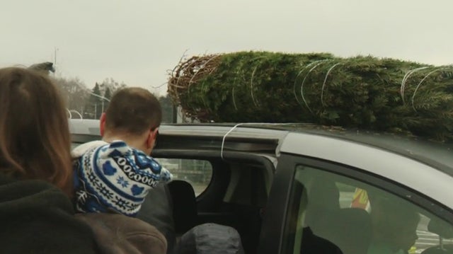 trees for troops 