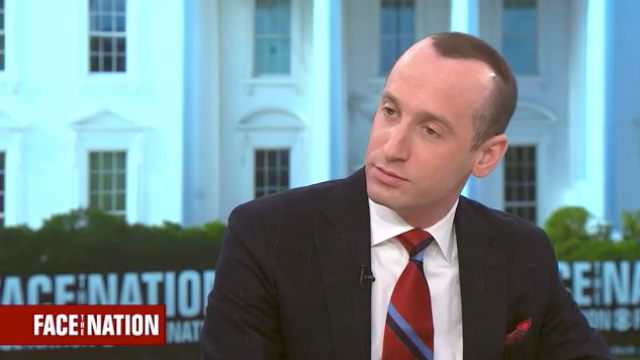 Stephen Miller on "Face the Nation" 