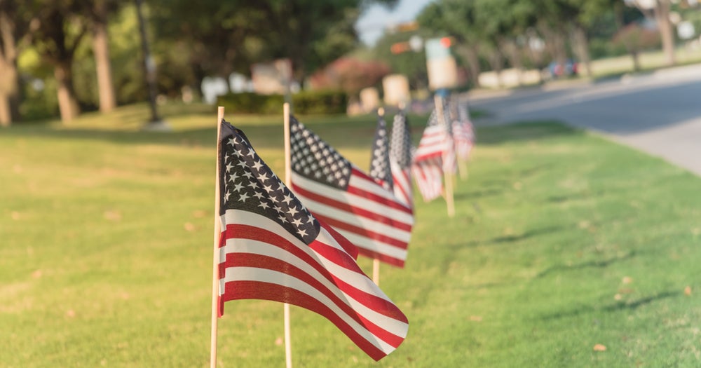 An 800K Grant Awarded To Help Create Master Plan For Hamtramck Park CBS Detroit