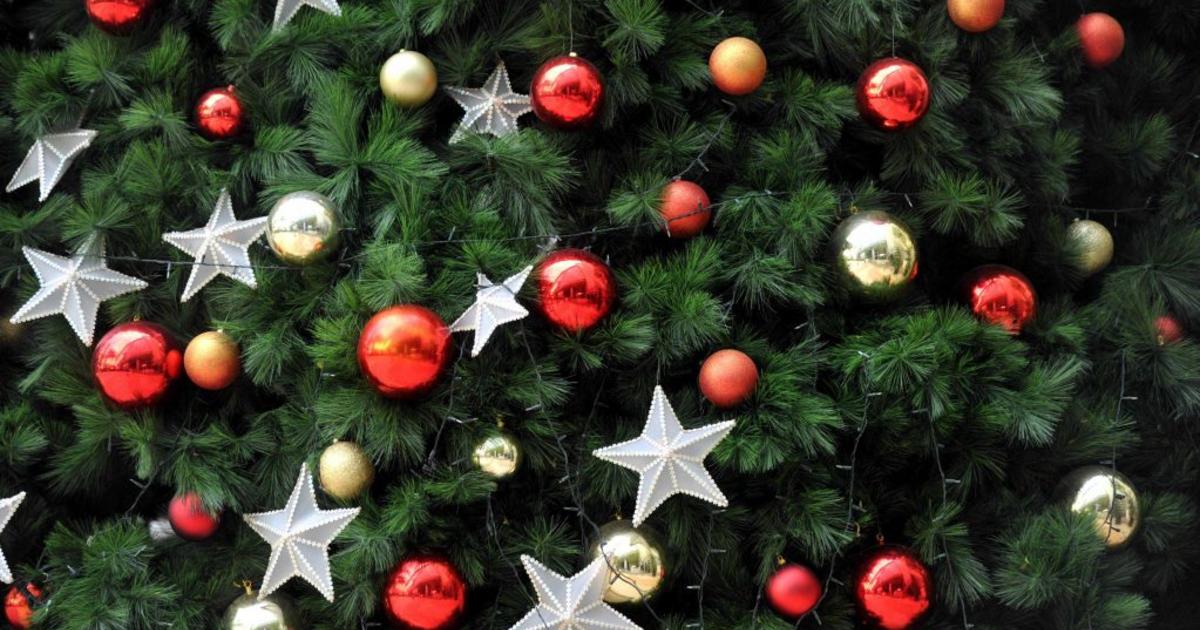 Philadelphia Streets Department Announces Dates For Christmas Tree
