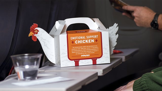 emotional-support-chicken-.jpg 