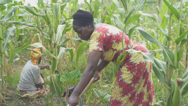 musabyimana-marie-gaudence-is-a-member-of-a-womens-farming-cooperative-in-rural-rwanda-the-cooperative-is-funded-by-humanity-unified.jpg 