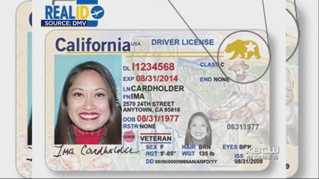 dmv.jpg 