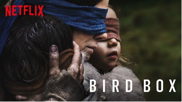 birdbox.jpg 