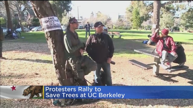 BERKELEY-TREE-PROTEST.jpg 