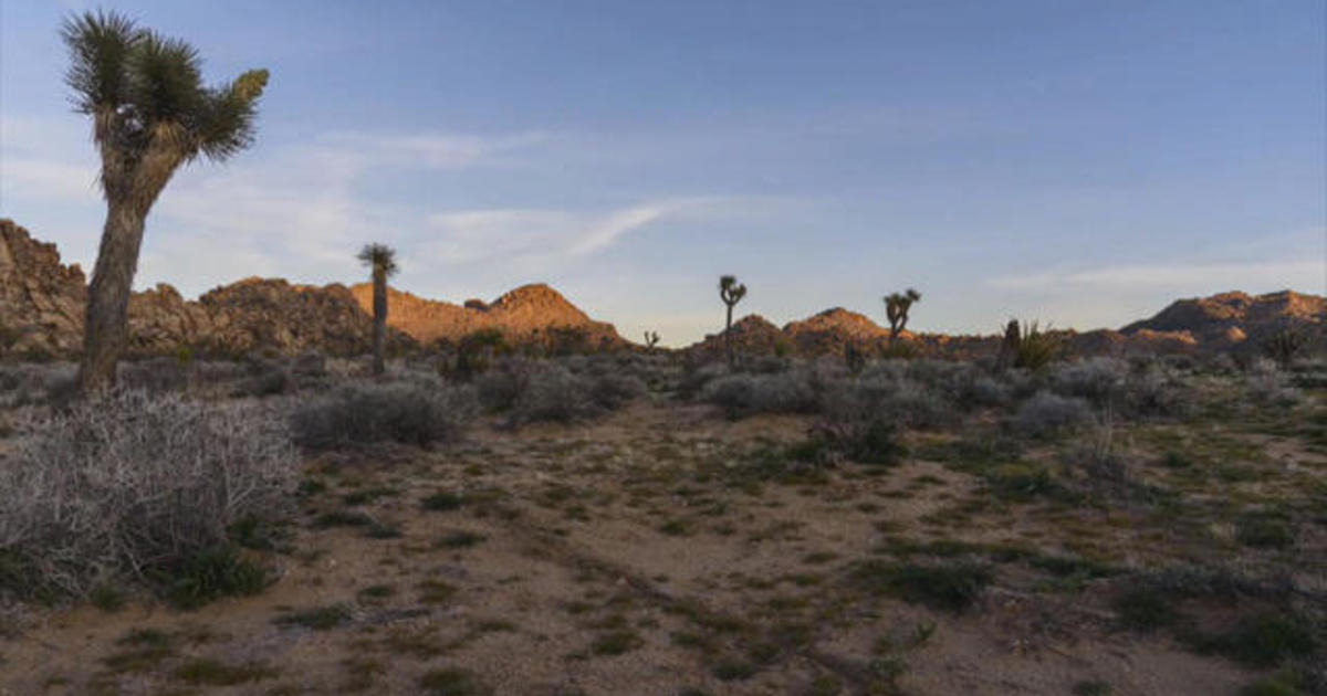 National parks and Smithsonian museums closed due to government